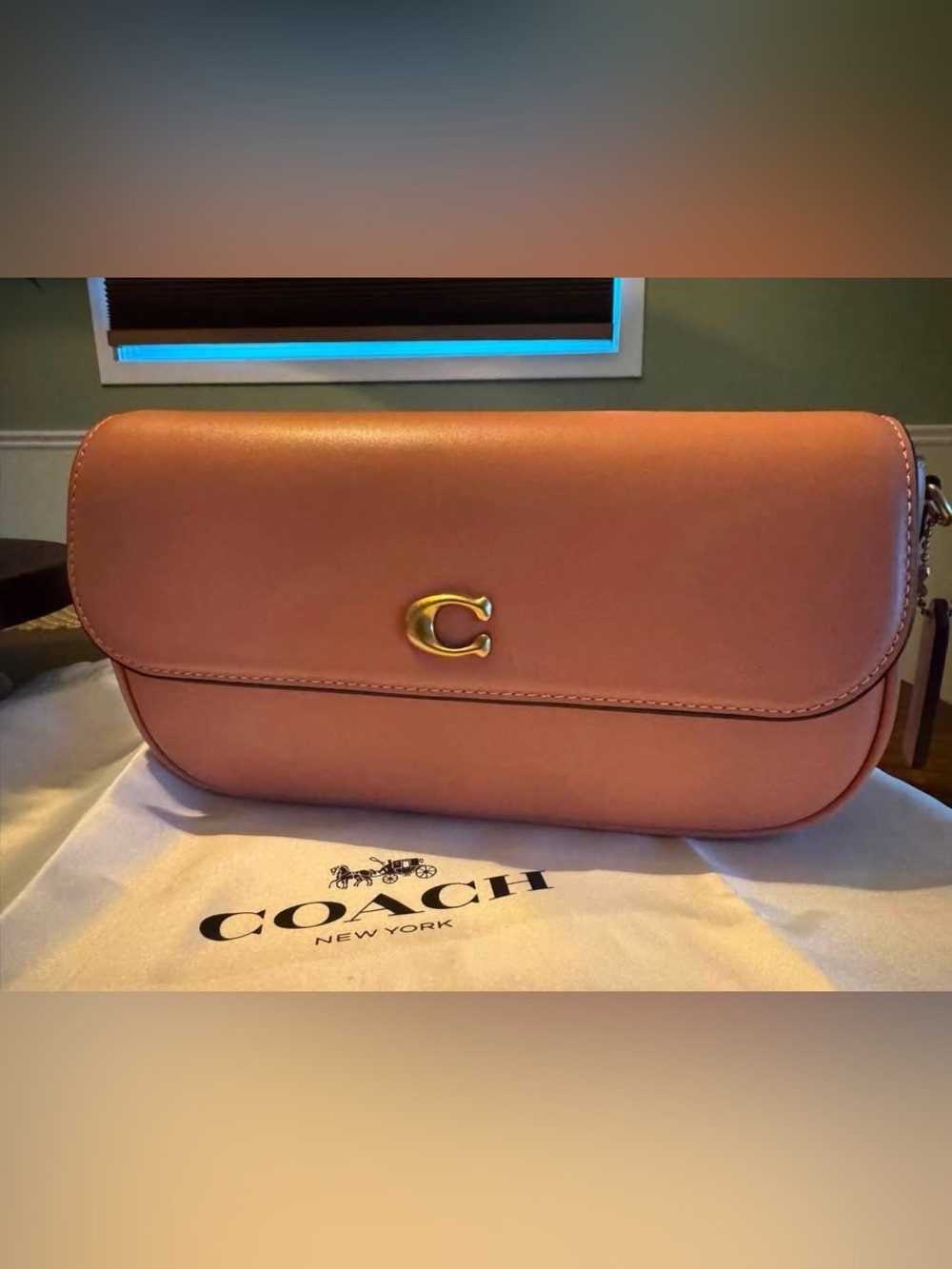 Coach leather Brook chain flap clutch in light Peach π